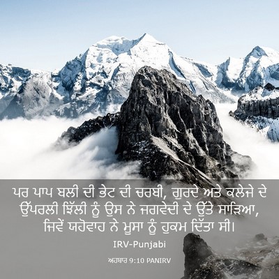 Picture 03 - ਅਹਬਾਰ 9:10 PANIRV - ਪਰ ਪਾਪ ਬਲੀ ਦੀ ਭੇਟ - Bible Verse Picture