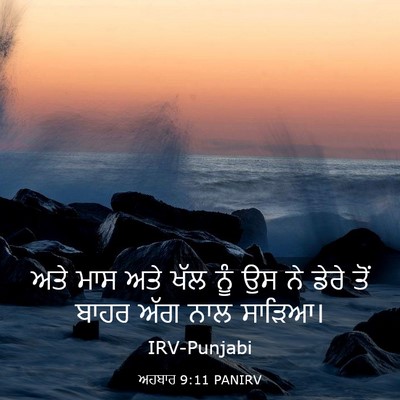 Picture 03 - ਅਹਬਾਰ 9:11 PANIRV - ਅਤੇ ਮਾਸ ਅਤੇ ਖੱਲ ਨੂੰ - Bible Verse Picture