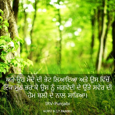 Picture 03 - ਅਹਬਾਰ 9:17 PANIRV - ਅਤੇ ਉਹ ਮੈਦੇ ਦੀ ਭੇਟ - Bible Verse Picture