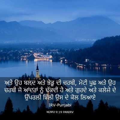 Picture 03 - ਅਹਬਾਰ 9:19 PANIRV - ਅਤੇ ਉਹ ਬਲ਼ਦ ਅਤੇ - Bible Verse Picture