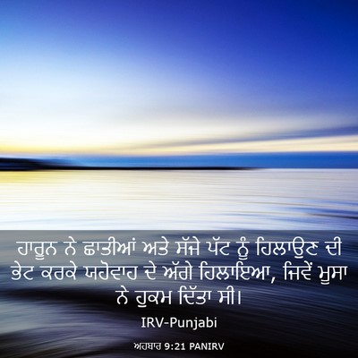 Picture 03 - ਅਹਬਾਰ 9:21 PANIRV - ਹਾਰੂਨ ਨੇ ਛਾਤੀਆਂ - Bible Verse Picture