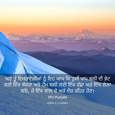 Picture 03 - ਅਹਬਾਰ 9:3 PANIRV - ਅਤੇ ਤੂੰ ਇਸਰਾਏਲੀਆਂ - Bible Verse Picture