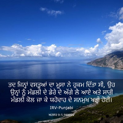 Picture 03 - ਅਹਬਾਰ 9:5 PANIRV - ਤਦ ਜਿਨ੍ਹਾਂ ਵਸਤੂਆਂ - Bible Verse Picture