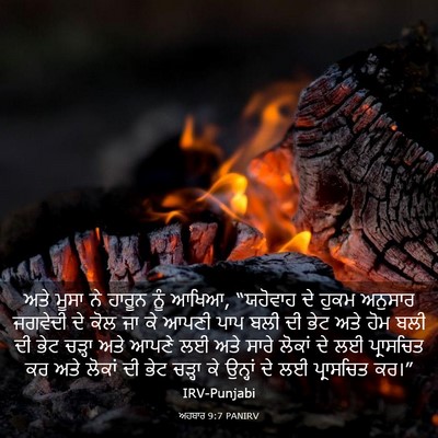 Picture 03 - ਅਹਬਾਰ 9:7 PANIRV - ਅਤੇ ਮੂਸਾ ਨੇ ਹਾਰੂਨ - Bible Verse Picture