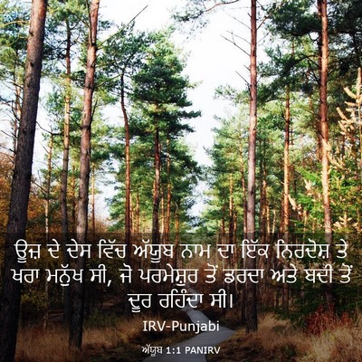 Picture 03 - ਅੱਯੂਬ 1:1 PANIRV - ਊਜ਼ ਦੇ ਦੇਸ ਵਿੱਚ - Bible Verse Picture