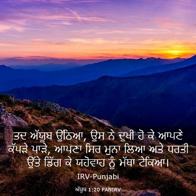 Picture 03 - ਅੱਯੂਬ 1:20 PANIRV - ਤਦ ਅੱਯੂਬ ਉੱਠਿਆ, ਉਸ - Bible Verse Picture