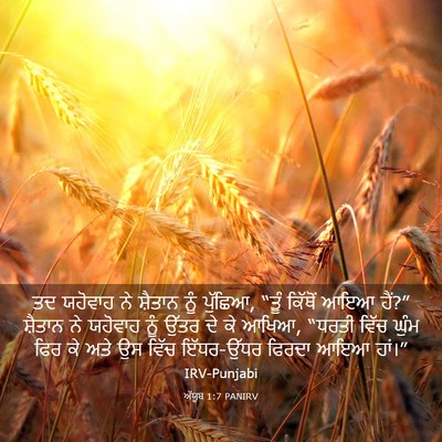 Picture 03 - ਅੱਯੂਬ 1:7 PANIRV - ਤਦ ਯਹੋਵਾਹ ਨੇ - Bible Verse Picture