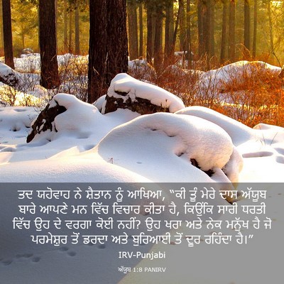 Picture 03 - ਅੱਯੂਬ 1:8 PANIRV - ਤਦ ਯਹੋਵਾਹ ਨੇ - Bible Verse Picture