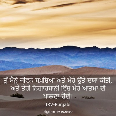 Picture 03 - ਅੱਯੂਬ 10:12 PANIRV - ਤੂੰ ਮੈਨੂੰ ਜੀਵਨ - Bible Verse Picture