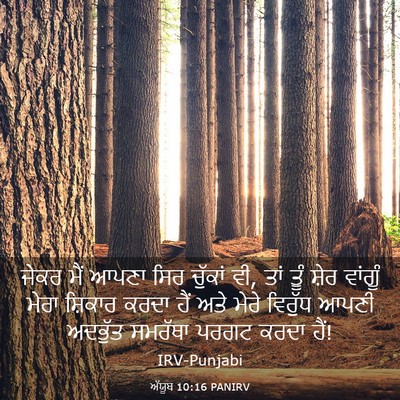 Picture 03 - ਅੱਯੂਬ 10:16 PANIRV - ਜੇਕਰ ਮੈਂ ਆਪਣਾ ਸਿਰ - Bible Verse Picture