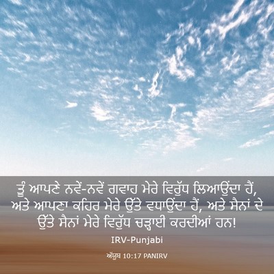 Picture 03 - ਅੱਯੂਬ 10:17 PANIRV - ਤੂੰ ਆਪਣੇ ਨਵੇਂ-ਨਵੇਂ - Bible Verse Picture