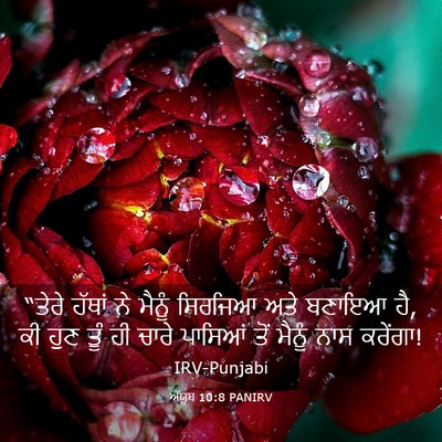 Picture 03 - ਅੱਯੂਬ 10:8 PANIRV - “ਤੇਰੇ ਹੱਥਾਂ ਨੇ - Bible Verse Picture