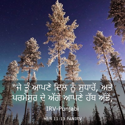 Picture 03 - ਅੱਯੂਬ 11:13 PANIRV - “ਜੇ ਤੂੰ ਆਪਣੇ ਦਿਲ - Bible Verse Picture
