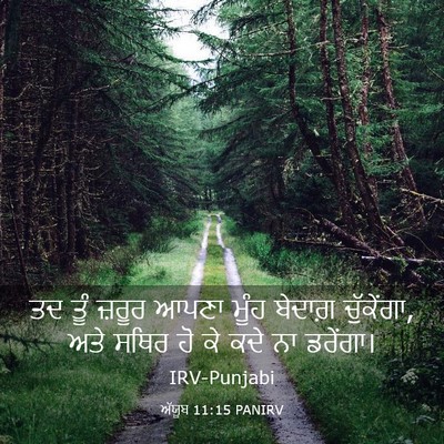Picture 03 - ਅੱਯੂਬ 11:15 PANIRV - ਤਦ ਤੂੰ ਜ਼ਰੂਰ ਆਪਣਾ - Bible Verse Picture