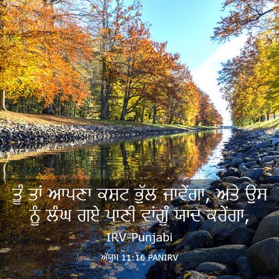 Picture 03 - ਅੱਯੂਬ 11:16 PANIRV - ਤੂੰ ਤਾਂ ਆਪਣਾ ਕਸ਼ਟ - Bible Verse Picture