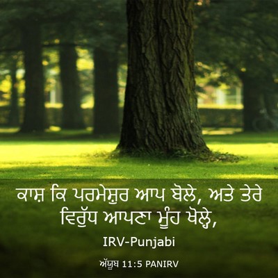 Picture 03 - ਅੱਯੂਬ 11:5 PANIRV - ਕਾਸ਼ ਕਿ ਪਰਮੇਸ਼ੁਰ - Bible Verse Picture