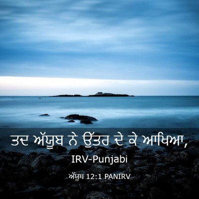 Picture 03 - ਅੱਯੂਬ 12:1 PANIRV - ਤਦ ਅੱਯੂਬ ਨੇ ਉੱਤਰ ਦੇ - Bible Verse Picture