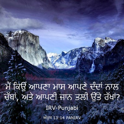 Picture 03 - ਅੱਯੂਬ 13:14 PANIRV - ਮੈਂ ਕਿਉਂ ਆਪਣਾ ਮਾਸ - Bible Verse Picture