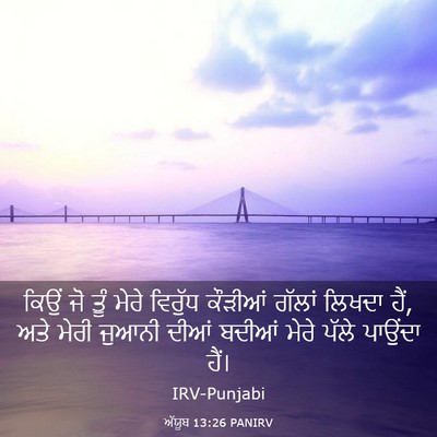 Picture 03 - ਅੱਯੂਬ 13:26 PANIRV - ਕਿਉਂ ਜੋ ਤੂੰ ਮੇਰੇ - Bible Verse Picture