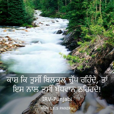 Picture 03 - ਅੱਯੂਬ 13:5 PANIRV - ਕਾਸ਼ ਕਿ ਤੁਸੀਂ - Bible Verse Picture