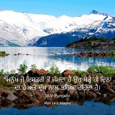 Picture 03 - ਅੱਯੂਬ 14:1 PANIRV - “ਮਨੁੱਖ ਜੋ ਇਸਤਰੀ - Bible Verse Picture