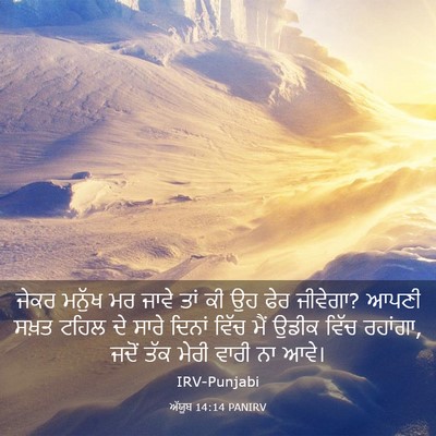 Picture 03 - ਅੱਯੂਬ 14:14 PANIRV - ਜੇਕਰ ਮਨੁੱਖ ਮਰ ਜਾਵੇ - Bible Verse Picture