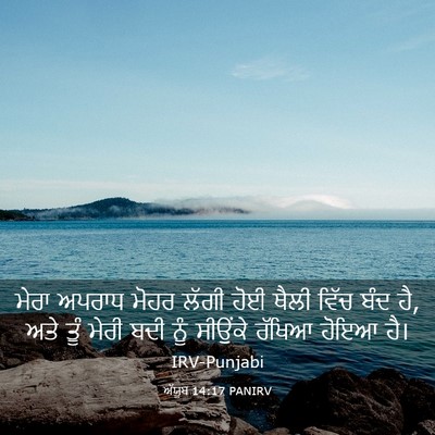 Picture 03 - ਅੱਯੂਬ 14:17 PANIRV - ਮੇਰਾ ਅਪਰਾਧ ਮੋਹਰ - Bible Verse Picture