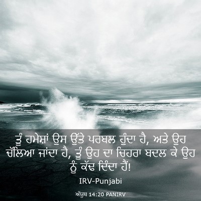 Picture 03 - ਅੱਯੂਬ 14:20 PANIRV - ਤੂੰ ਹਮੇਸ਼ਾਂ ਉਸ - Bible Verse Picture