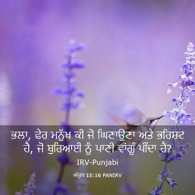Picture 03 - ਅੱਯੂਬ 15:16 PANIRV - ਭਲਾ, ਫੇਰ ਮਨੁੱਖ ਕੀ - Bible Verse Picture