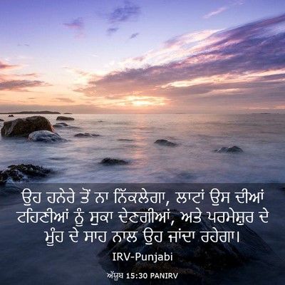 Picture 03 - ਅੱਯੂਬ 15:30 PANIRV - ਉਹ ਹਨੇਰੇ ਤੋਂ ਨਾ - Bible Verse Picture