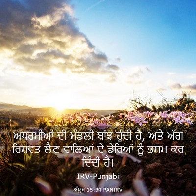 Picture 03 - ਅੱਯੂਬ 15:34 PANIRV - ਅਧਰਮੀਆਂ ਦੀ ਮੰਡਲੀ - Bible Verse Picture