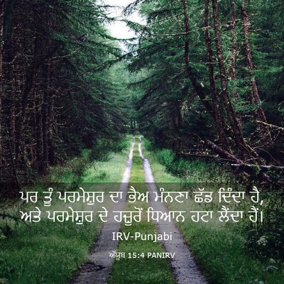Picture 03 - ਅੱਯੂਬ 15:4 PANIRV - ਪਰ ਤੂੰ ਪਰਮੇਸ਼ੁਰ ਦਾ - Bible Verse Picture