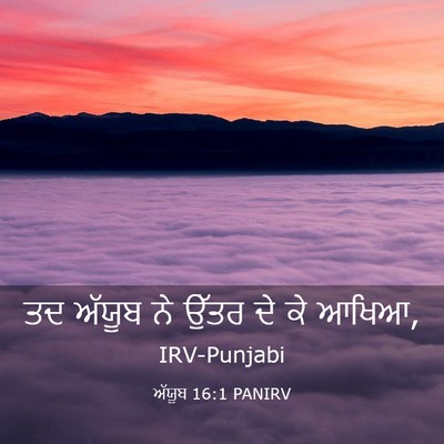 Picture 03 - ਅੱਯੂਬ 16:1 PANIRV - ਤਦ ਅੱਯੂਬ ਨੇ ਉੱਤਰ ਦੇ - Bible Verse Picture