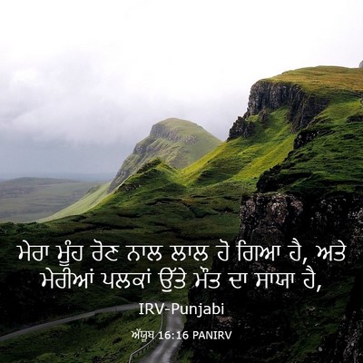 Picture 03 - ਅੱਯੂਬ 16:16 PANIRV - ਮੇਰਾ ਮੂੰਹ ਰੋਣ ਨਾਲ - Bible Verse Picture