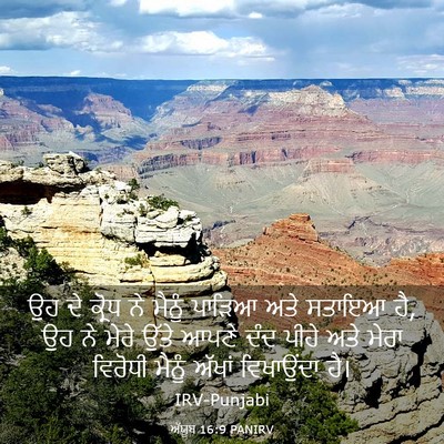 Picture 03 - ਅੱਯੂਬ 16:9 PANIRV - ਉਹ ਦੇ ਕ੍ਰੋਧ ਨੇ - Bible Verse Picture
