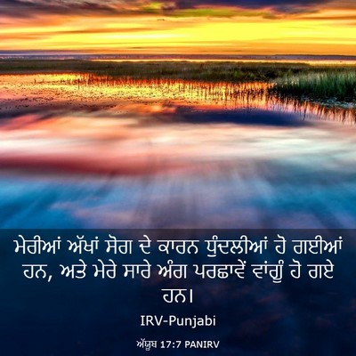 Picture 03 - ਅੱਯੂਬ 17:7 PANIRV - ਮੇਰੀਆਂ ਅੱਖਾਂ ਸੋਗ - Bible Verse Picture