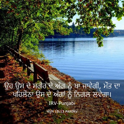 Picture 03 - ਅੱਯੂਬ 18:13 PANIRV - ਉਹ ਉਸ ਦੇ ਸਰੀਰ ਦੇ - Bible Verse Picture