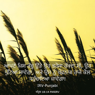 Picture 03 - ਅੱਯੂਬ 18:14 PANIRV - ਆਪਣੇ ਜਿਸ ਤੰਬੂ ਉੱਤੇ - Bible Verse Picture
