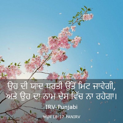 Picture 03 - ਅੱਯੂਬ 18:17 PANIRV - ਉਹ ਦੀ ਯਾਦ ਧਰਤੀ - Bible Verse Picture