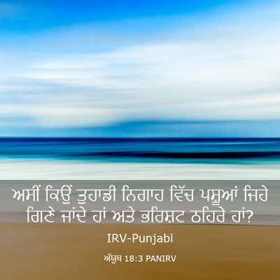 Picture 03 - ਅੱਯੂਬ 18:3 PANIRV - ਅਸੀਂ ਕਿਉਂ ਤੁਹਾਡੀ - Bible Verse Picture