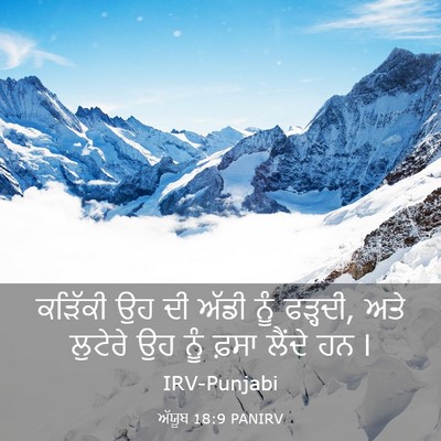 Picture 03 - ਅੱਯੂਬ 18:9 PANIRV - ਕੜਿੱਕੀ ਉਹ ਦੀ ਅੱਡੀ - Bible Verse Picture