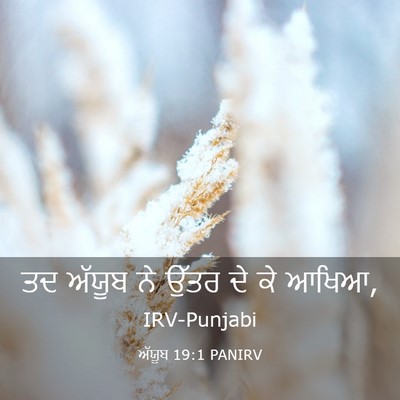 Picture 03 - ਅੱਯੂਬ 19:1 PANIRV - ਤਦ ਅੱਯੂਬ ਨੇ ਉੱਤਰ ਦੇ - Bible Verse Picture