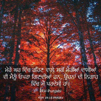 Picture 03 - ਅੱਯੂਬ 19:15 PANIRV - ਮੇਰੇ ਘਰ ਵਿੱਚ ਰਹਿਣ - Bible Verse Picture