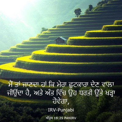 Picture 03 - ਅੱਯੂਬ 19:25 PANIRV - ਮੈਂ ਤਾਂ ਜਾਣਦਾ ਹਾਂ - Bible Verse Picture