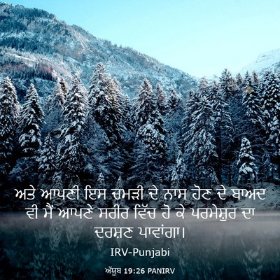 Picture 03 - ਅੱਯੂਬ 19:26 PANIRV - ਅਤੇ ਆਪਣੀ ਇਸ ਚਮੜੀ ਦੇ - Bible Verse Picture
