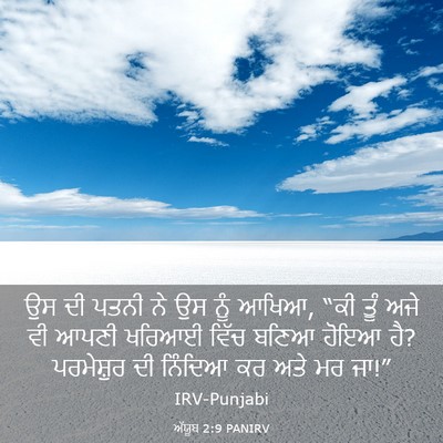 Picture 03 - ਅੱਯੂਬ 2:9 PANIRV - ਉਸ ਦੀ ਪਤਨੀ ਨੇ ਉਸ - Bible Verse Picture