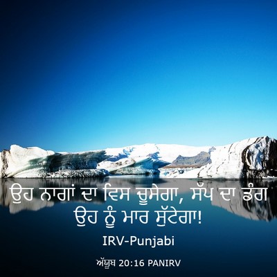 Picture 03 - ਅੱਯੂਬ 20:16 PANIRV - ਉਹ ਨਾਗਾਂ ਦਾ ਵਿਸ - Bible Verse Picture