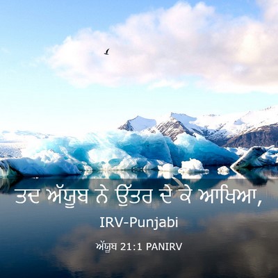 Picture 03 - ਅੱਯੂਬ 21:1 PANIRV - ਤਦ ਅੱਯੂਬ ਨੇ ਉੱਤਰ ਦੇ - Bible Verse Picture