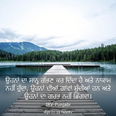 Picture 03 - ਅੱਯੂਬ 21:10 PANIRV - ਉਹਨਾਂ ਦਾ ਸਾਨ੍ਹ - Bible Verse Picture