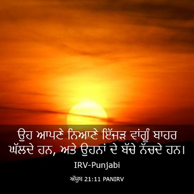 Picture 03 - ਅੱਯੂਬ 21:11 PANIRV - ਉਹ ਆਪਣੇ ਨਿਆਣੇ ਇੱਜੜ - Bible Verse Picture